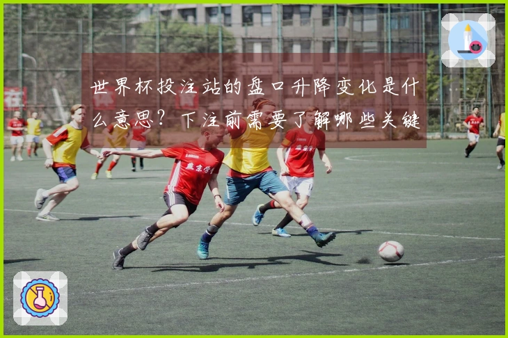 世界杯投注站的盘口升降变化是什么意思？下注前需要了解哪些关键细节？