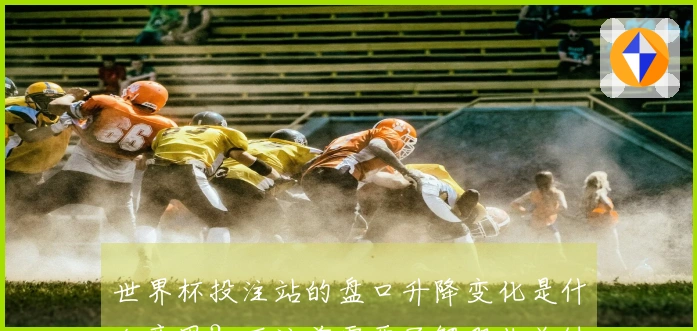 世界杯投注站的盘口升降变化是什么意思?下注前需要了解哪些关键细节?