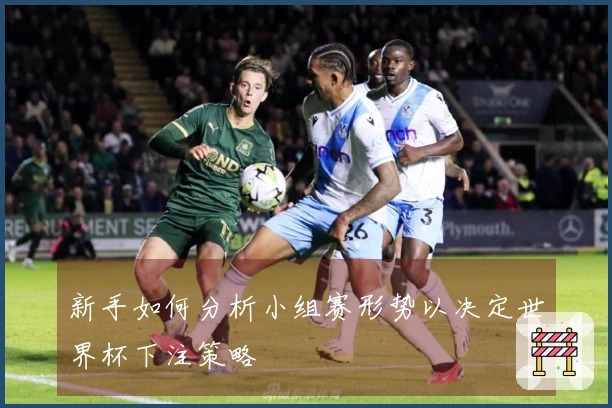 新手如何分析小组赛形势以决定世界杯下注策略